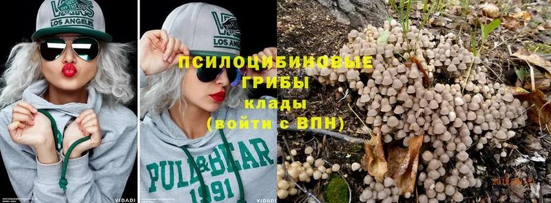 Псилоцибиновые грибы Cubensis  купить наркотики цена  Гдов 